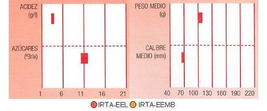 Los resultados de los ensayos del IRTA en Lleida muestran los siguientes parmetros de calidad  contenido en azcares bueno, y bajo en acidez. El calibre en torno a 70 milmetros y el peso medio alrededor de 100 gramos.