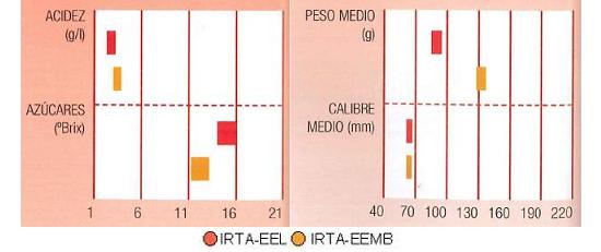 Los resultados de los ensayos del IRTA en Lleida y Mas Badia muestran los siguientes parmetros de calidad  contenido en azcares elevado y bajo en cidos. El calibre vara de60 a 70 milmetros y el peso medio vara de 90 a 130 gramos.