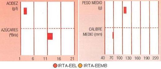 Los resultados de ensayos del IRTA en Lleida y muestran los siguientes parmetros de calidad: contenido en azcares alto, en cidos muy bajo, calibre de 70 milmetrosy peso del fruto de 110 gramos.
