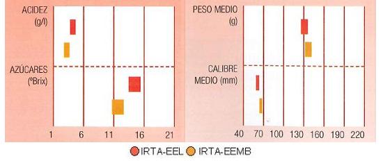 Los resultados de ensayos del IRTA en Lleida y en Mas Badia muestran los siguientes parmetros de calidad: contenido en azcares alto, en cidos muy bajo, calibre de 60a 70 milmetrosy peso del fruto de 130 gramos.