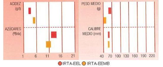 Los resultados de los ensayos del IRTA en Lleida y Mas Badia muestran los siguientes parmetros de calidad  contenido en azcares medio bueno, y bajo en acidez. El calibre de menos de 70 milmetros y el peso puede llegar a de 50 a 70 gramos.