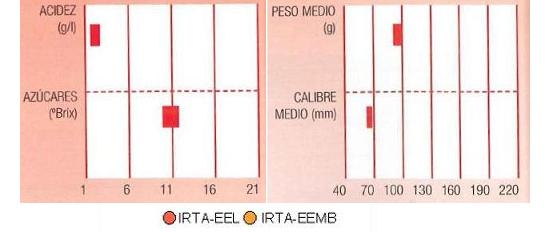 Los resultados de los ensayos del IRTA en Lleida y Mas Badia muestran los siguientes parmetros de calidad  contenido en azcares bueno, y bajo en acidez. El calibre en torno a 70 milmetros y el peso medio alrededor de 100 gramos.