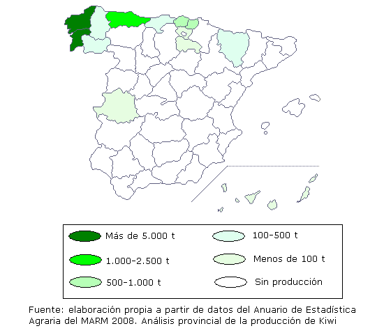 La distribución geográfica de la producción de kiwi en España según el Anuario de estadística agroalimentaria del MARM 2008, sitúa en primer lugar de producción a las provincias de Pontevedra y A Coruña, con más de 5.000 toneladas. La provincia de Asturias en segundo lugar con una producción entre 1.000 y 2.500 toneladas, en tercer lugar las provincis de Guipúzcoa y Vizcaya con producción entre 500 y 1.000 toneladas, con producción entre 100 y 500 toneladas Ourense, Lugo, Cantabria, Álava, La Rioja, Huesca y Cáceres.