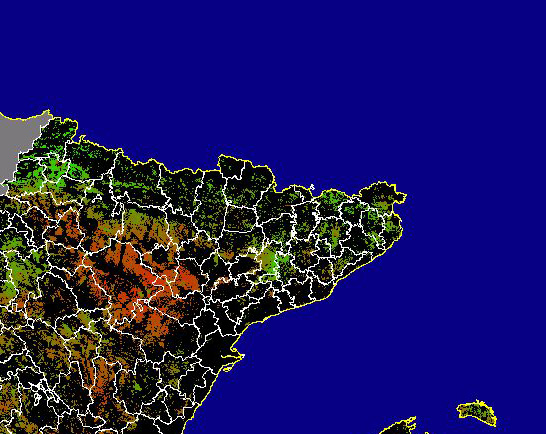 Imagen de NDVI medio secano: Índices de vegetación medios del mes para las zonas de cultivos de secano y pastizales