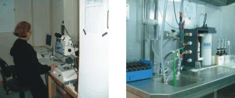 Foto izquierda - Fotografiando larva de atún rojo
Foto derecha - Laboratorio húmedo