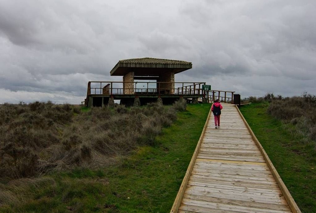 La importancia de la accesibilidad en los entornos naturales