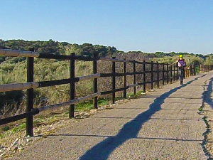 Camino Natural Vía Verde del Aceite