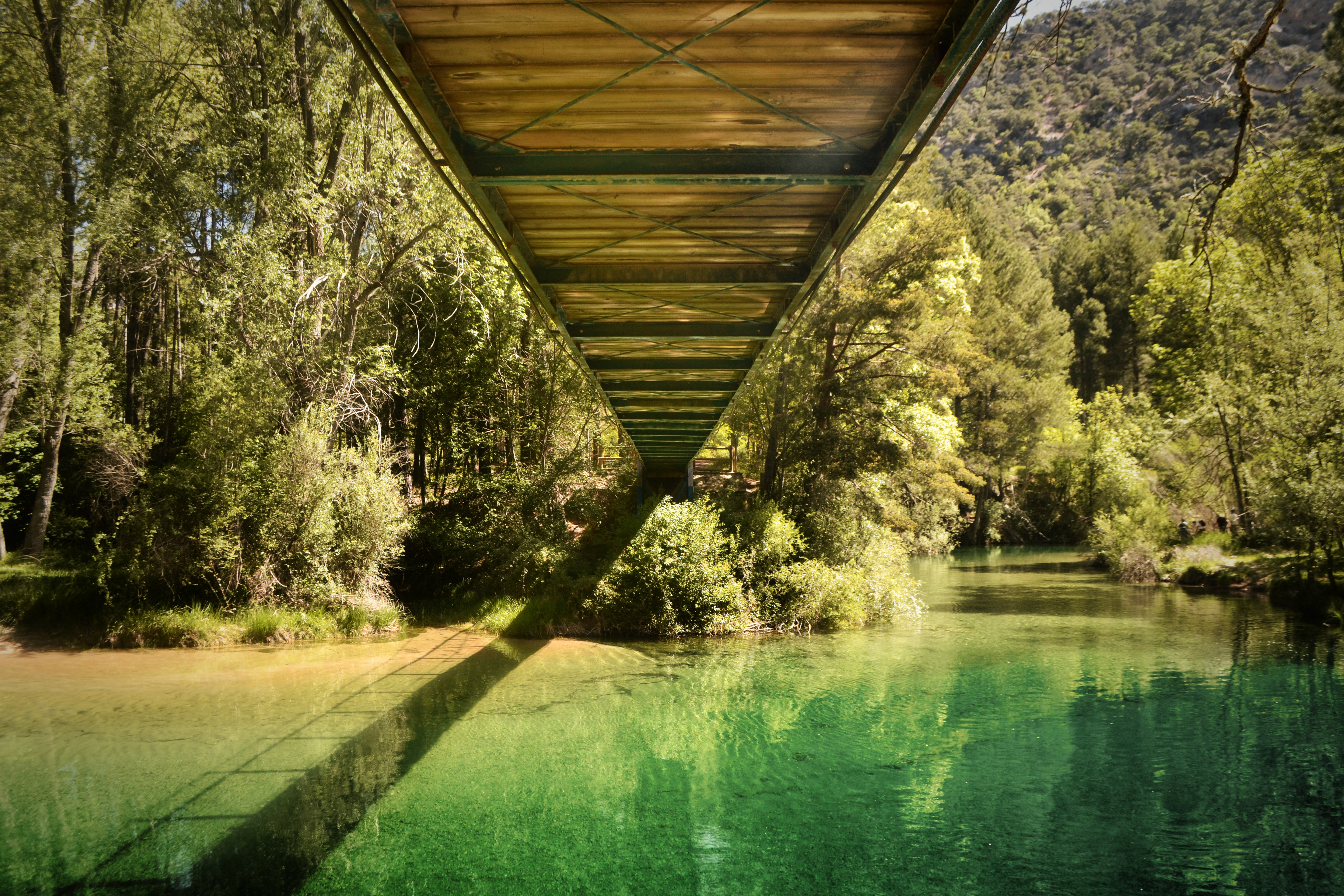 El Camino Suspendido - Nikolay Ilkov