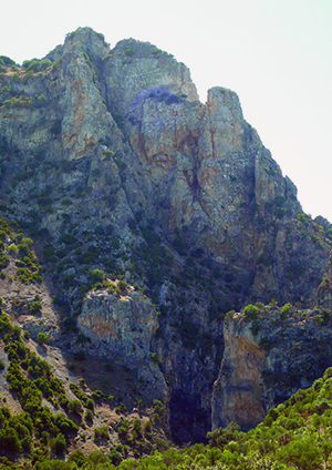 El Peñón de Zaframagón: reino del buitre leonado