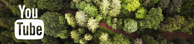 Canal youtube del MAPA Canal youtube del MAPA