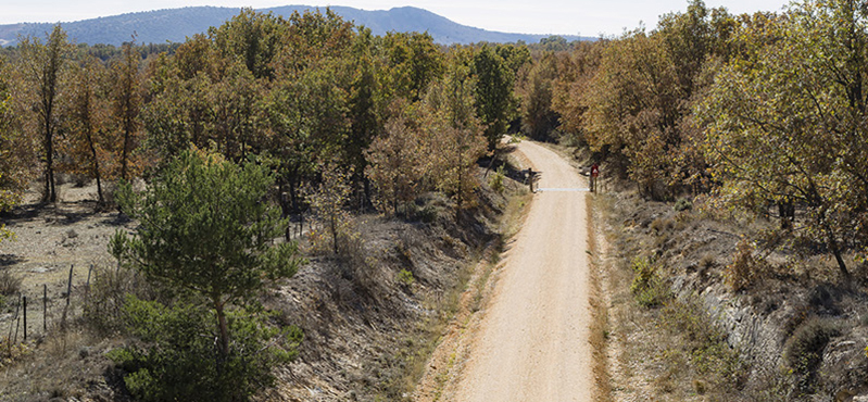 Imagen Red de Caminos Naturales