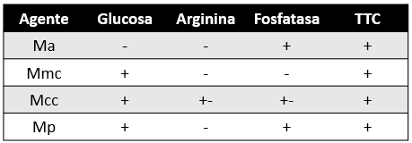 Pruebas bioquímicas