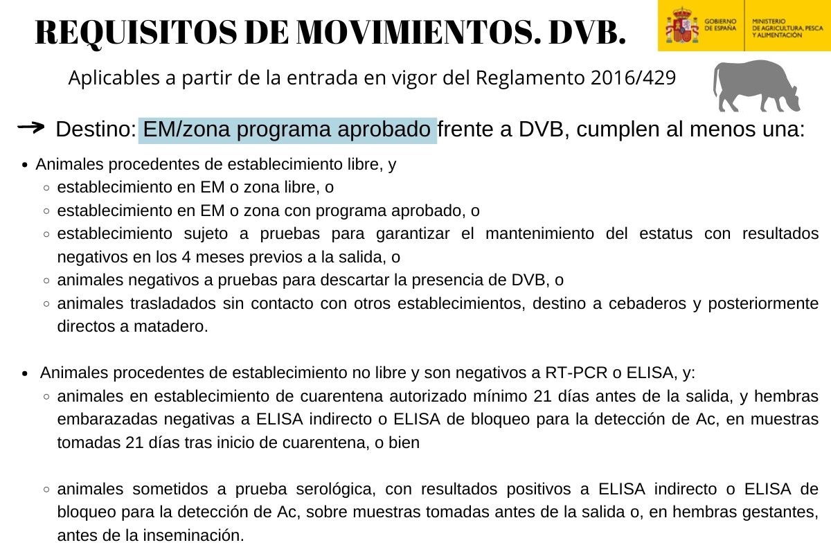 Movimiento DVB. EM programa.2