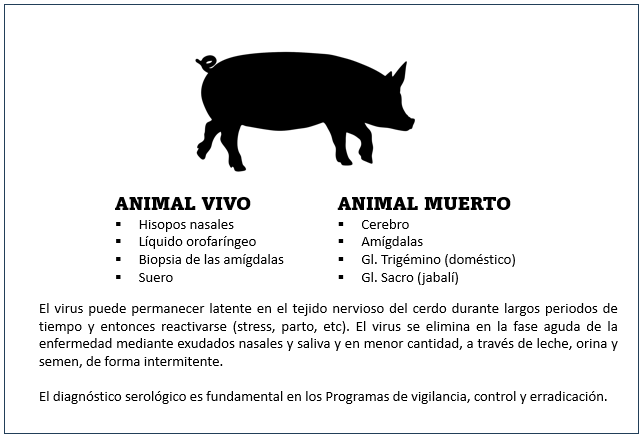 muestras de elección