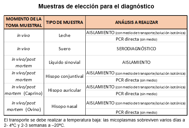 Muestras de elección