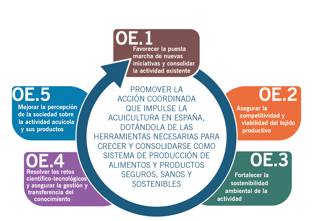 Figura 17