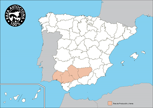 Negra Andaluza