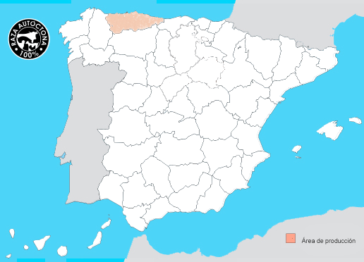 gochu asturcelta