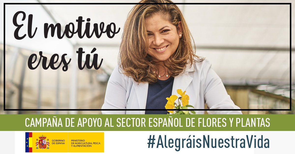 El motivo eres tú