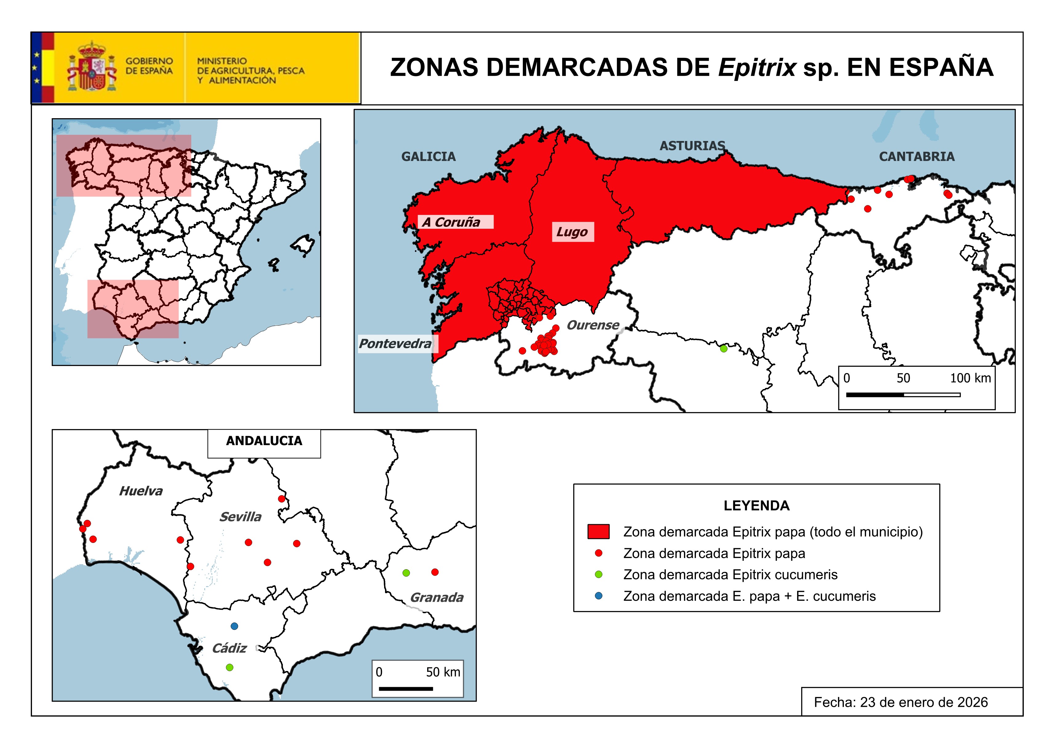 ZD Spain Epitrix papa 2019