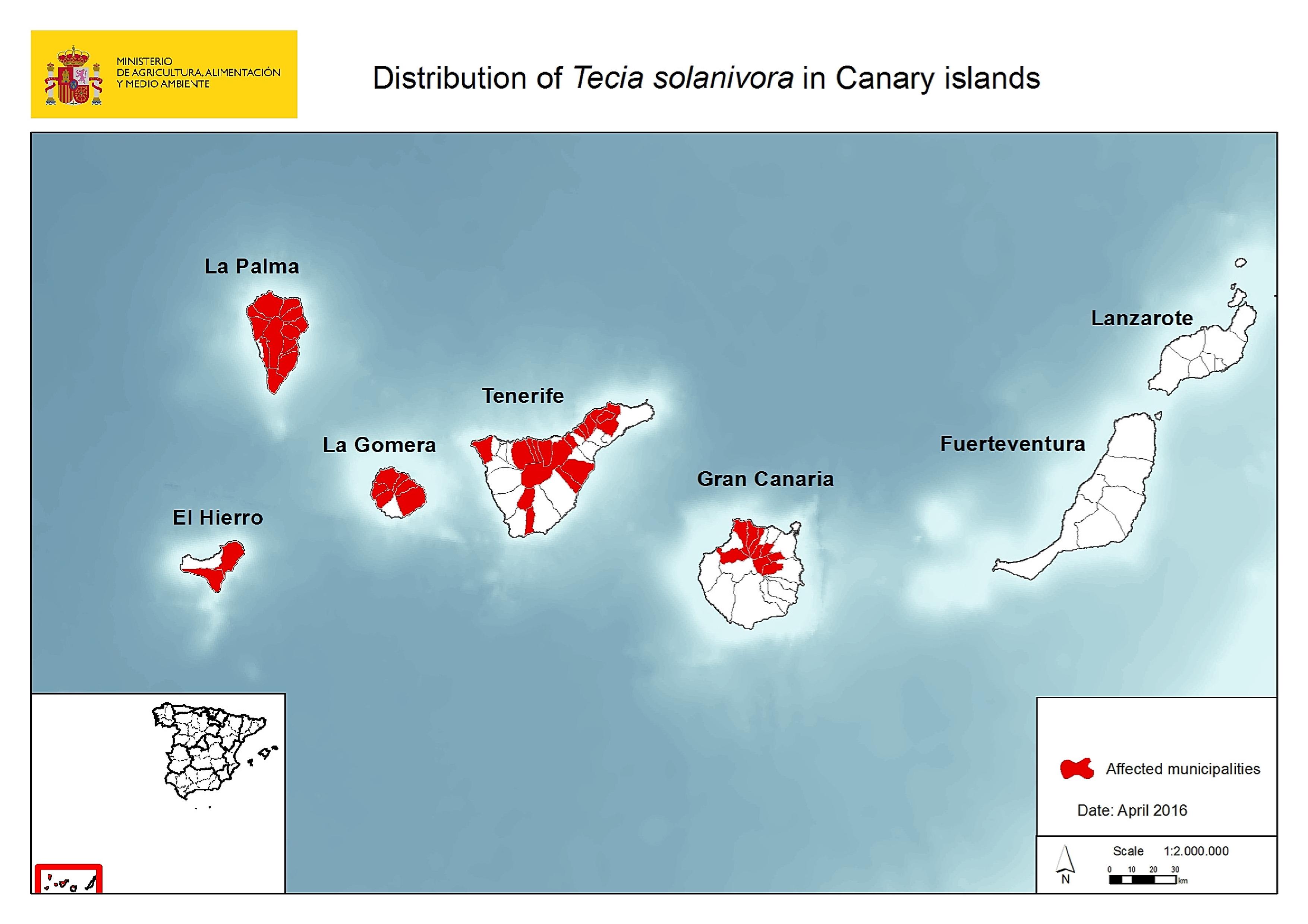 situacion tecia canarias