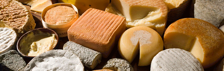 Banner-principla-Programa-EU