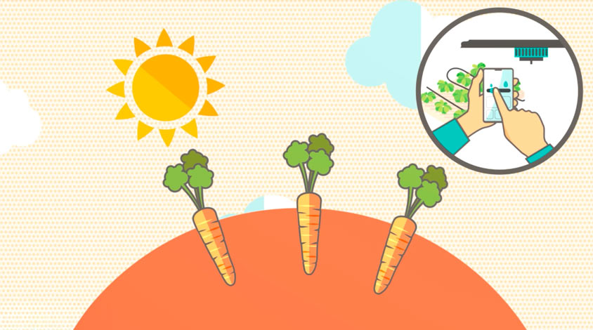 el-viaje-del-alimento