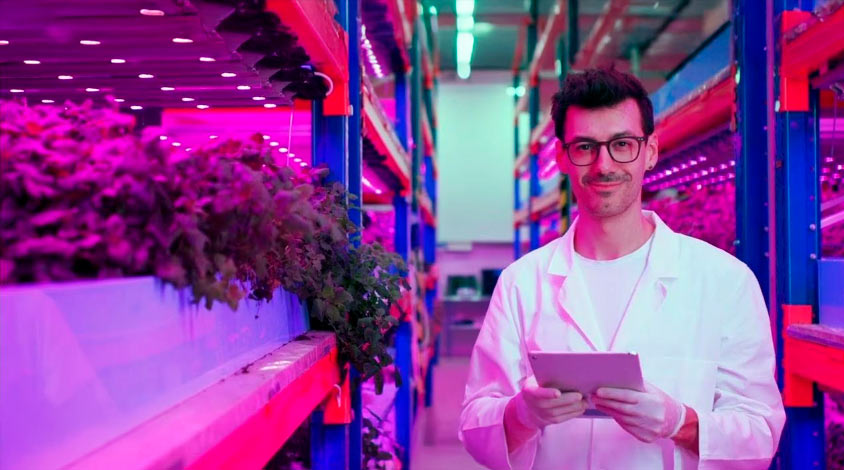 El sector agroalimentario del futuro estrategia de formación agroalimentaria 