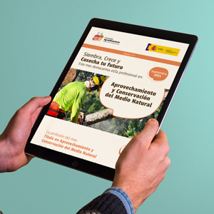 Newsletter septiembre 2024