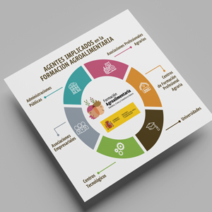 Agentes implicados en la formación