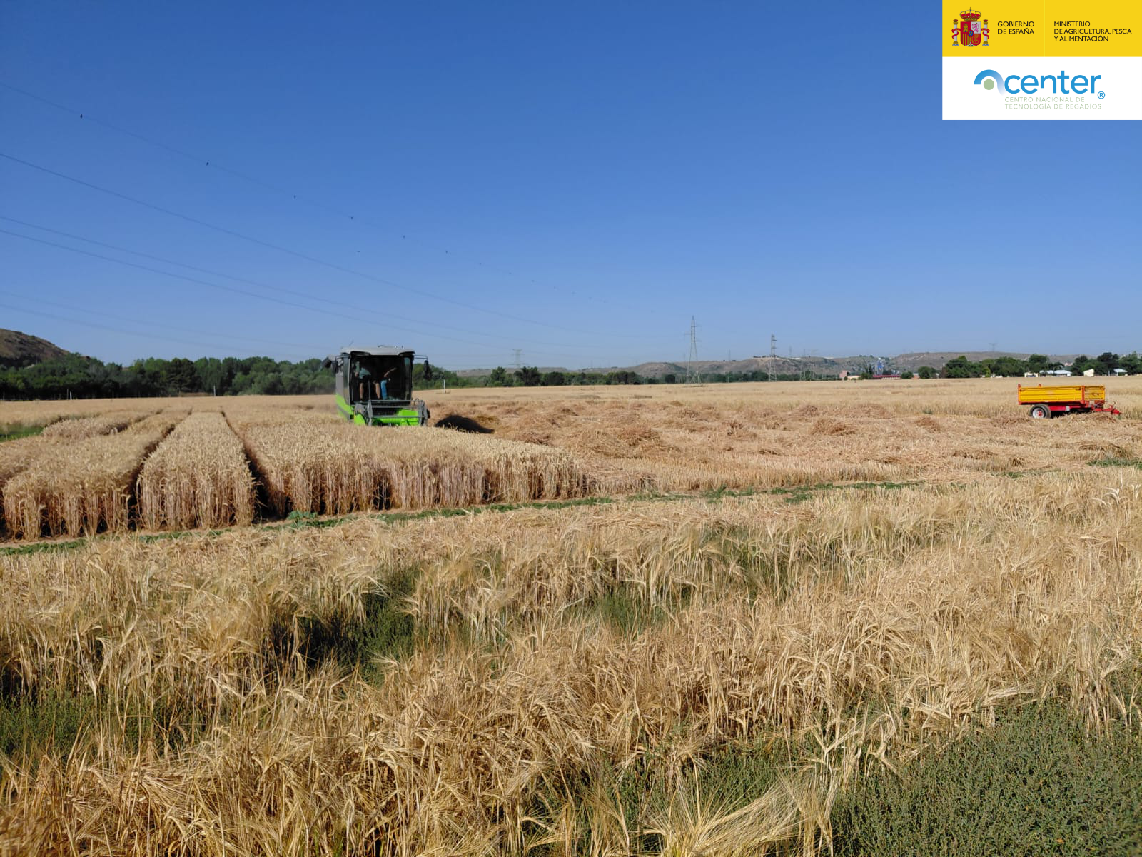 Colaboración con la Oficina Española de Variedades Vegetales en la evaluación de nuevas variedades agrícolas