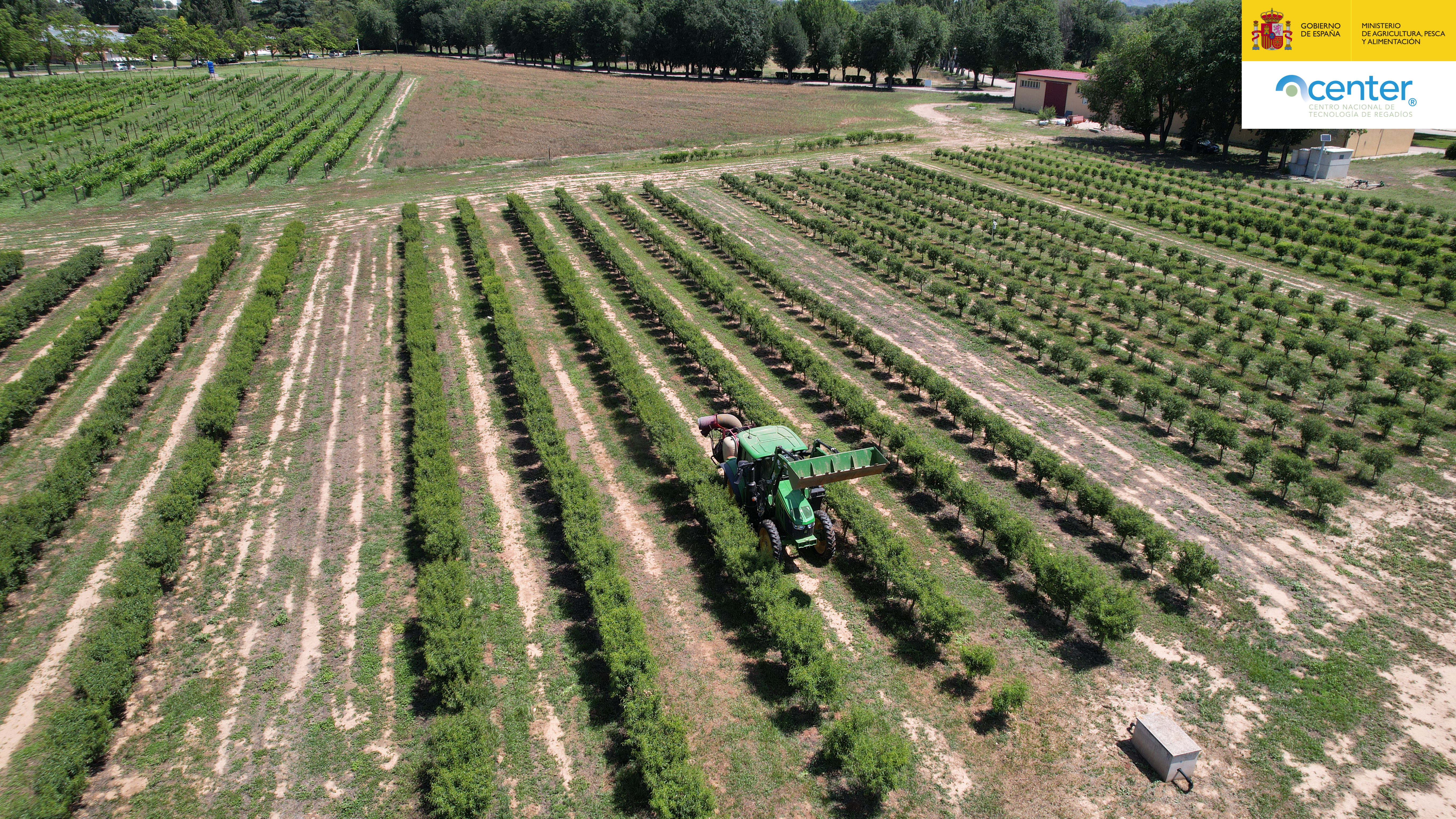 Estudio comparativo de sistemas de riego localizado subterráneo en una plantación de almendro
