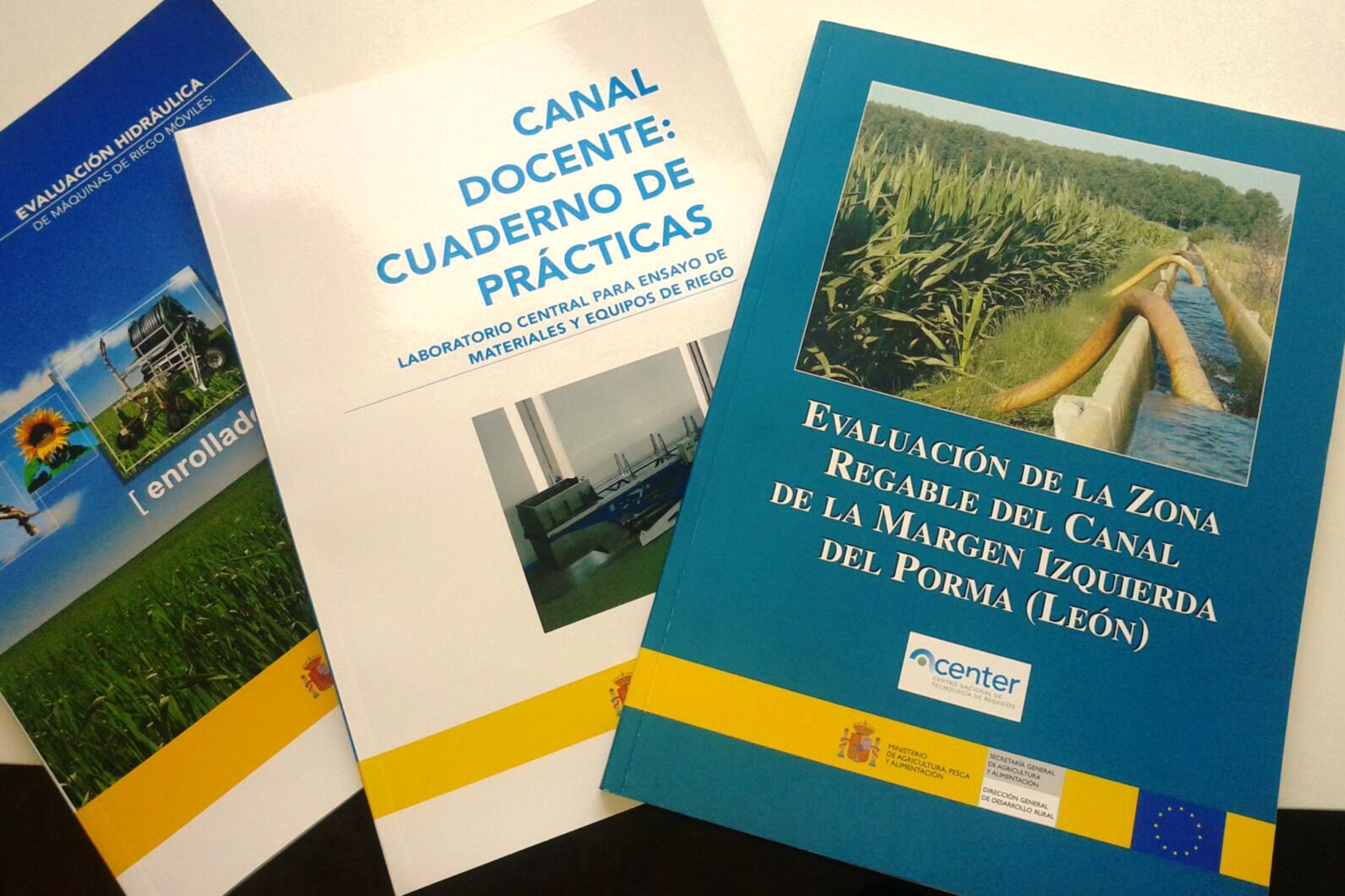 publicacion