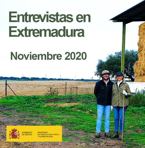 Entrevistas Titularidad Compartida en Extremadura. Noviembre 2020.
