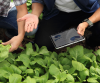 Foto Agricultores con tablet