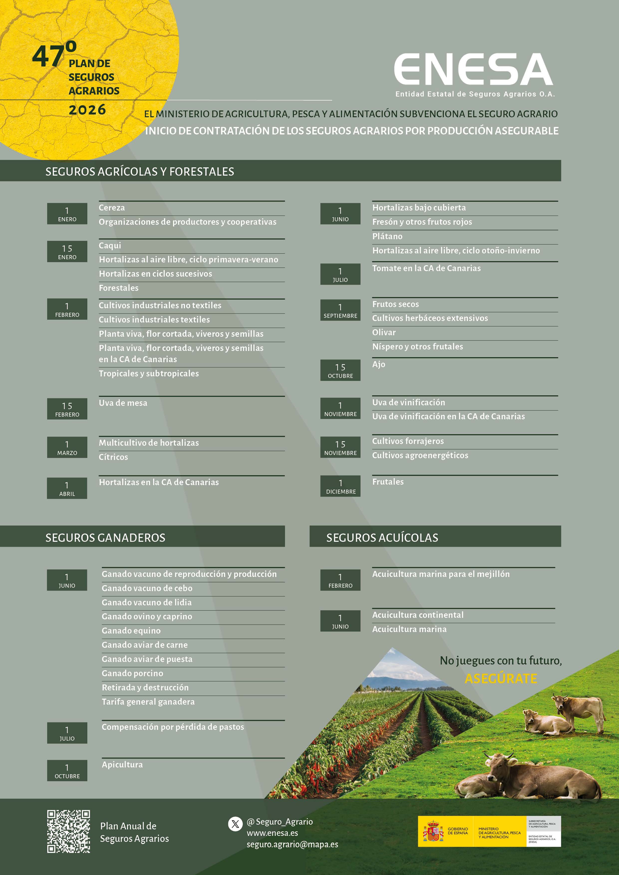 ANUNCIO CALENDARIO_CAST