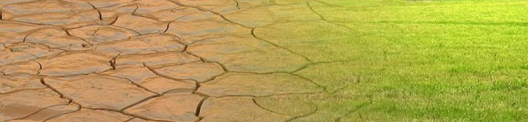 cambio_climatico_1_745x172