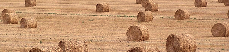 desarrollo_rural_3_745x172