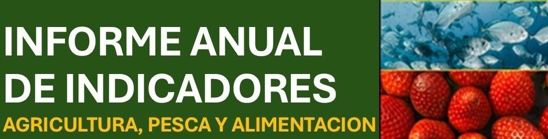 Informe Anual de Indicadores