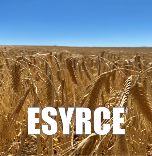 Logo ESYRCE