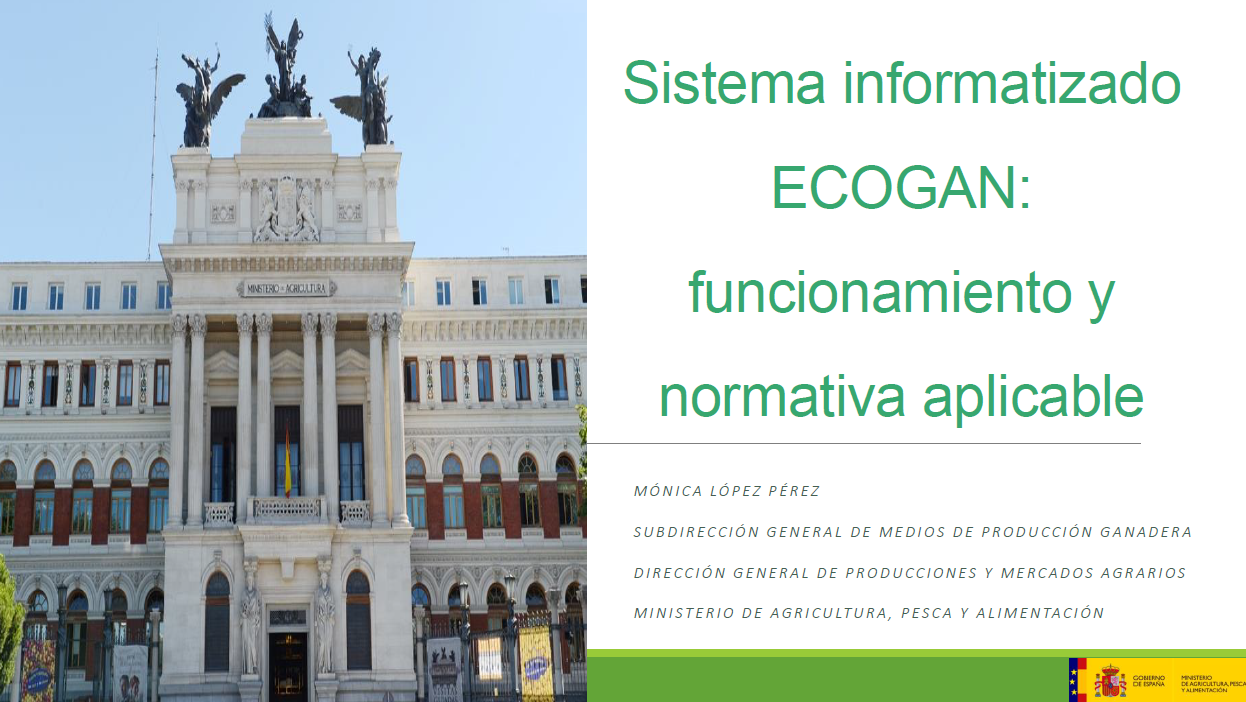 captura funcionamiento de ECOGAN
