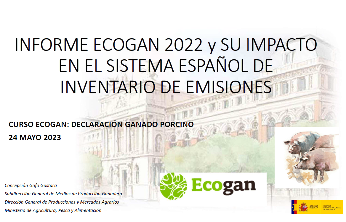 captura informe de ecogan y sei