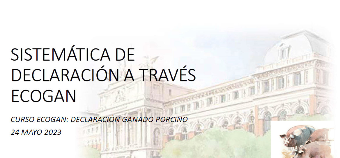 Captura sistematica declaraciones ecogan