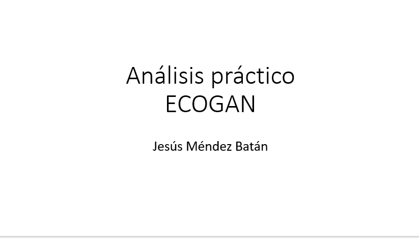 Análisis práctico ECOGAN