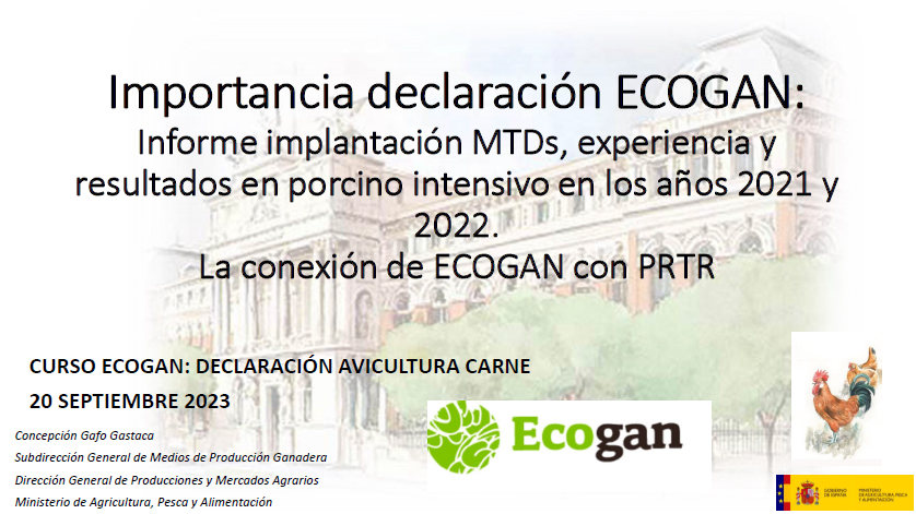 importancia declaración ECOGAN