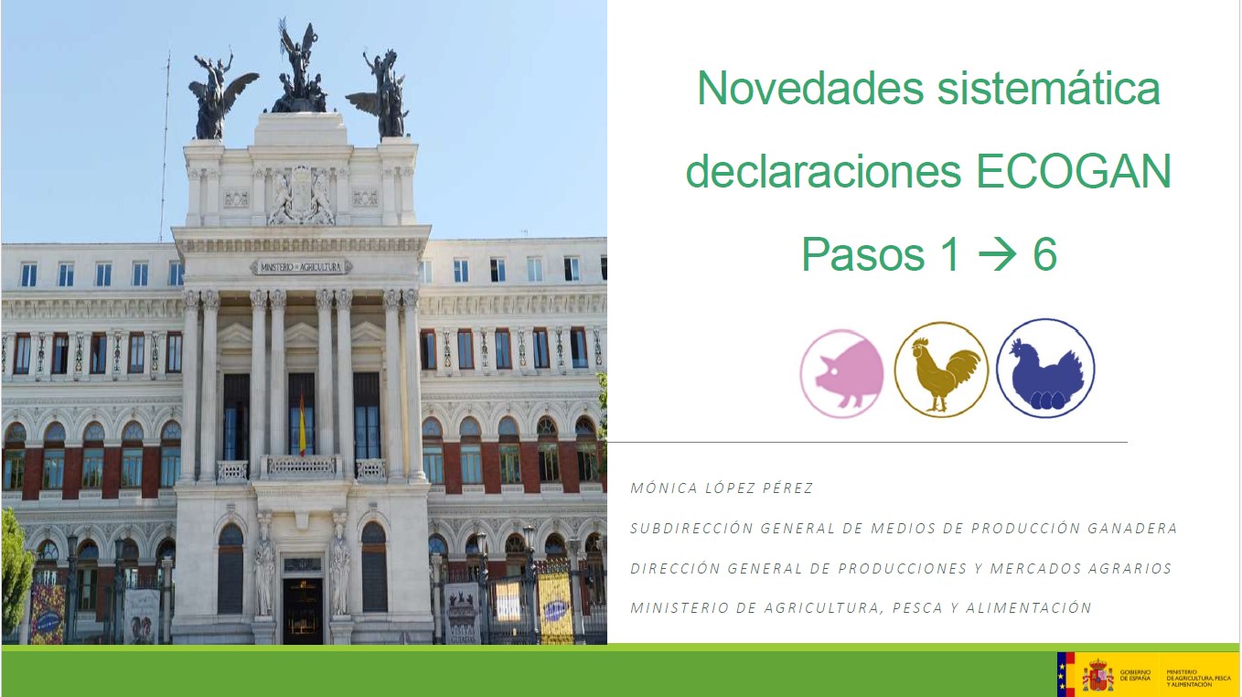 PORATA 2 SISTEMATICA DECLARACION