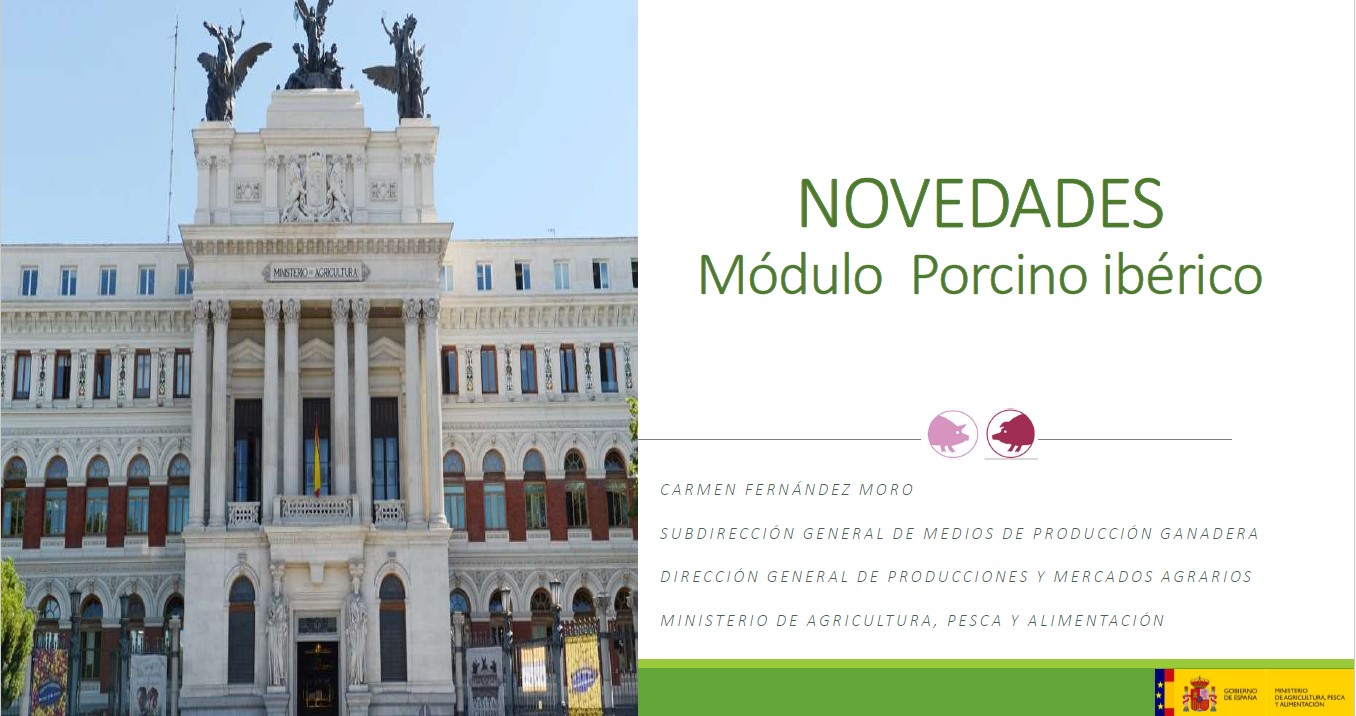 PORTADA 3 PORCINO IBERICO