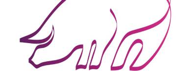 BANER EURCAW PIG PEQUEÑO