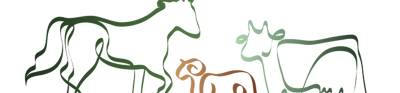 CARRUSEL EURCAW RU Y EQ