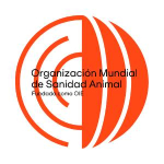 OMSA-PORTADA REDUCIDA 150